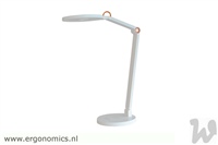 01 Amstel LED Bureaulamp